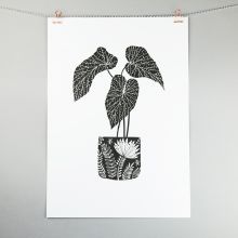 A3 begonia print, monochrome design