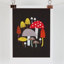 Toadstool and mushrooms A5 print