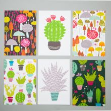 Cactus and toadstools postcard pack