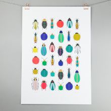 A3 print, bugs and beetles illustration