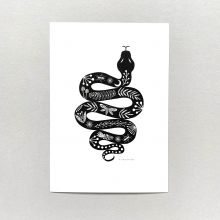 A5 snake illustration